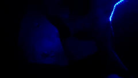 fu338208 online show from 10.26.25