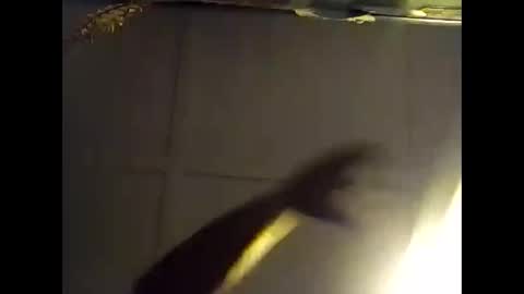 Snapshot of fucmebudoo chatting on 10.28.25 Warwick online show from 10.28.25