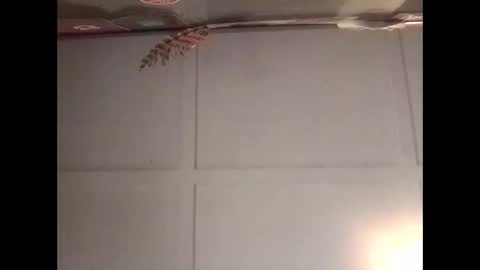 Snapshot of fucmebudoo chatting on 10.30.25 Warwick online show from 10.30.25