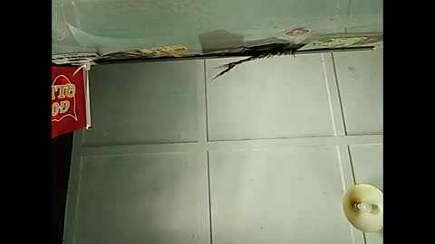 Snapshot of fucmebudoo chatting on 12.03.25 Warwick online show from 12.03.25