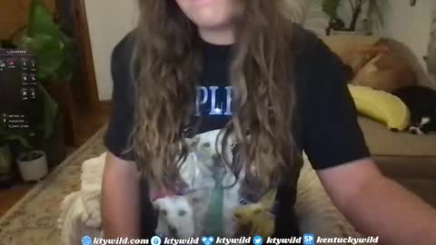   Thank you for visiting I hope you had fun 3 online show from 01.07.25