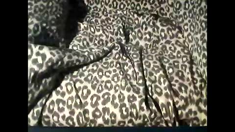 Snapshot of funcyman3 chatting on 02.18.25 funcyman3 online show from 02.18.25