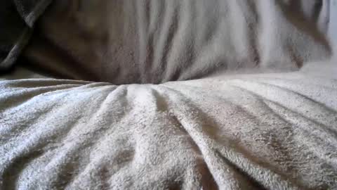 Snapshot of funguy4558 chatting on 02.24.25 BigLoadsJoe online show from 02.24.25