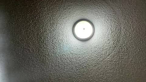 Snapshot of furburgermuncher89 chatting on 02.22.25 furburgermuncher89 online show from 02.22.25