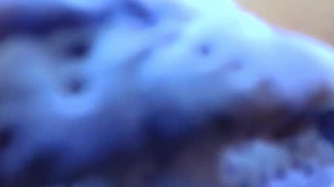 gabriela online show from 02.14.26