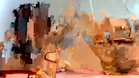 Snapshot of gabrielaycc chatting on 01.23.25 Dani online show from 01.23.25