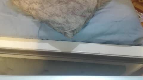 gabysot online show from 04.08.26