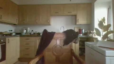 Snapshot of galacx chatting on 02.21.25 galacx online show from 02.21.25