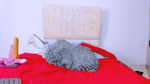 gatita13333321 online show from 12.23.24