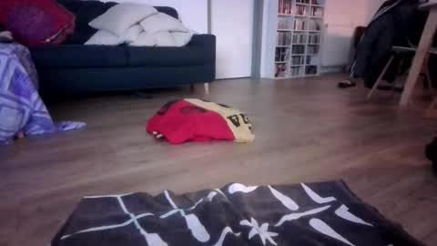 Snapshot of gaypuppychaste chatting on 12.23.25 gaypuppychaste online show from 12.23.25