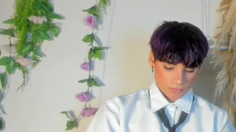 HAN online show from 02.05.26