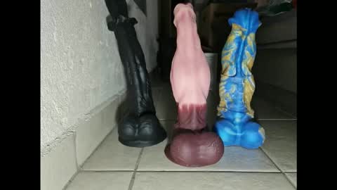 generalerectional online show from 11.10.25