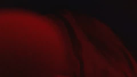 genitalwars online show from 03.04.26