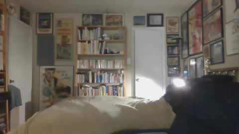 Snapshot of gentcallr chatting on 11.26.25 Steve online show from 11.26.25