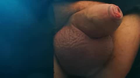 Snapshot of germanfatfemboy chatting on 03.07.26 germanfatfemboy online show from 03.07.26