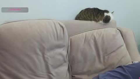 Snapshot of gertanord chatting on 03.08.26 Gerta online show from 03.08.26