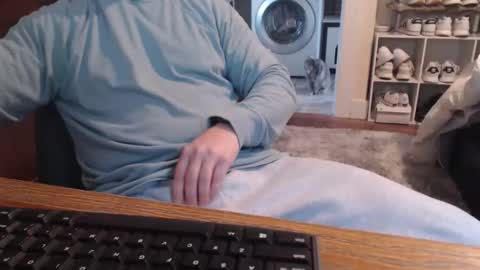 gethoggy online show from 01.11.26