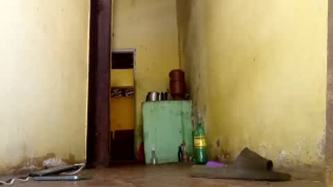 Gaby online show from 01.15.26