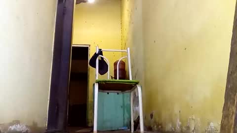 Gaby online show from 02.23.26