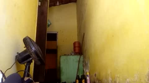 Gaby online show from 04.09.26