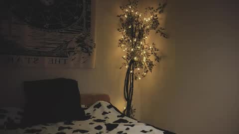 Snapshot of ghoticspectre chatting on 01.15.26 ghoticspectre online show from 01.15.26