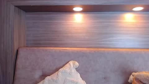 gigi wilden online show from 09.10.25