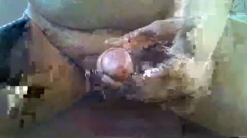 Snapshot of girafsnoop chatting on 11.22.25 girafsnoop online show from 11.22.25