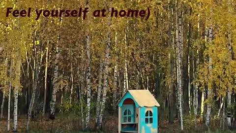 Kristin  online show from 02.22.26