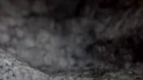 e-Bizl online show from 12.07.24