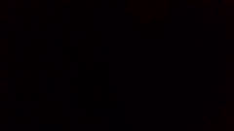 e-Bizl online show from 02.11.25