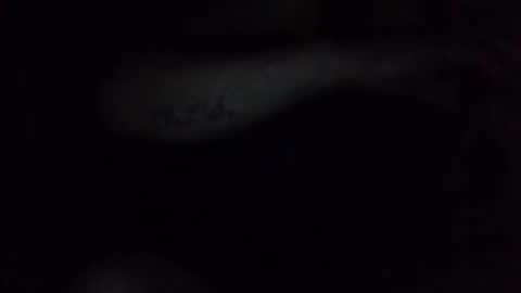 e-Bizl online show from 02.17.25