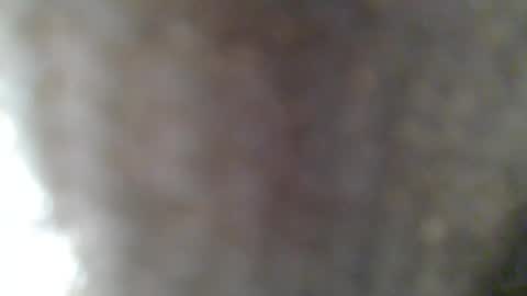 e-Bizl online show from 02.25.25