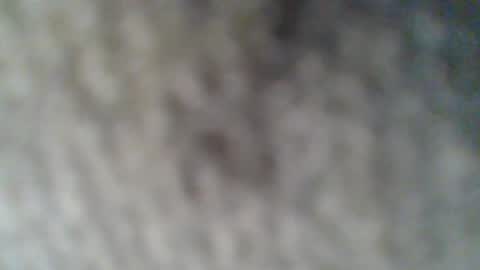 e-Bizl online show from 02.25.25