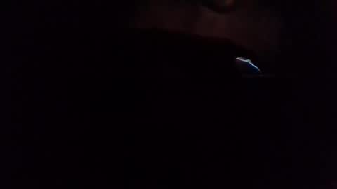 e-Bizl online show from 03.07.25