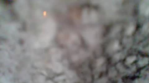 e-Bizl online show from 03.07.25