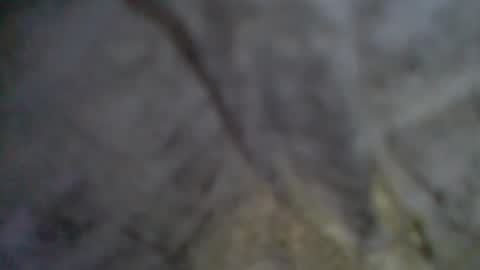 e-Bizl online show from 09.11.25