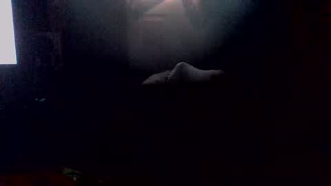 e-Bizl online show from 10.19.25