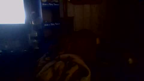 e-Bizl online show from 11.02.25