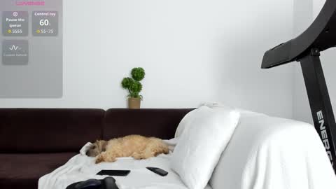 Alice online show from 01.17.26