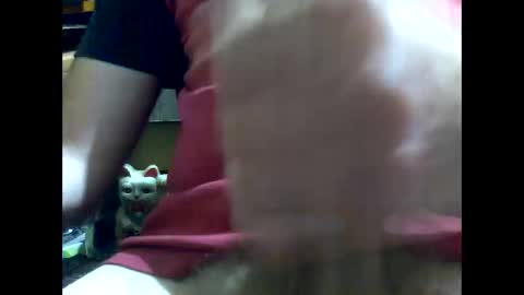 PencilDick online show from 01.17.25