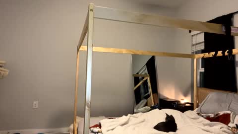 Snapshot of goddessfeyaa chatting on 01.12.25 feyaa22 online show from 01.12.25