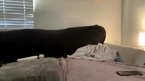 GoddessMayvn online show from 07.02.26