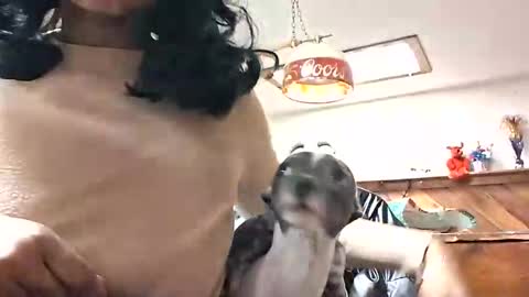 goddessxxamina online show from 01.13.26