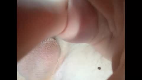 Snapshot of goe297850 chatting on 01.15.26 18teenhorny online show from 01.15.26