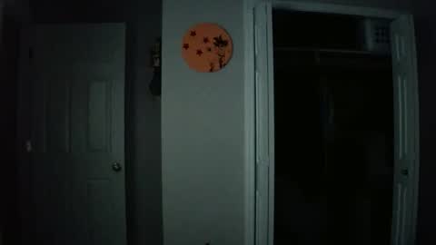 Snapshot of gokugarrison4334 chatting on 11.29.25 gokugarrison4334 online show from 11.29.25