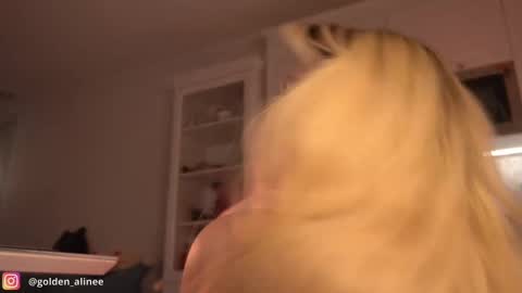 Snapshot of golden_alinee chatting on 02.23.25 Aline meow   online show from 02.23.25