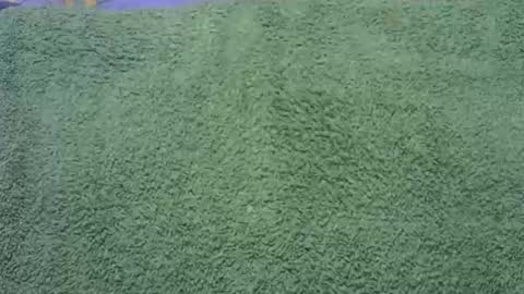 Snapshot of goodfishing chatting on 11.01.25 goodfishing online show from 11.01.25