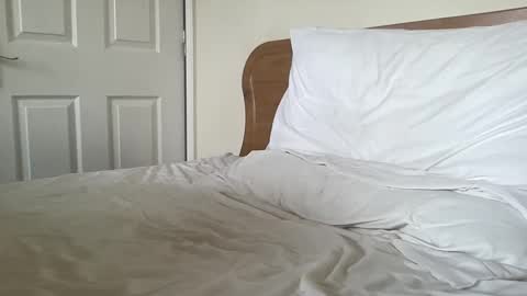 Snapshot of gotenks93 chatting on 03.04.25 Dillan Diamonds online show from 03.04.25