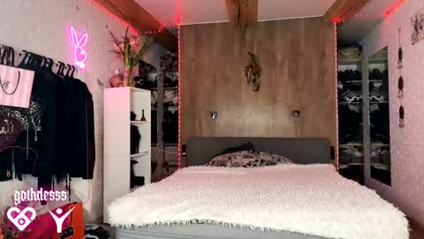    online show from 02.17.26