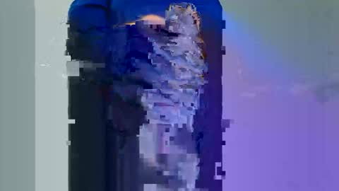 Longwood online show from 11.30.25